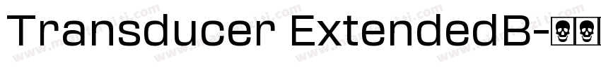 Transducer ExtendedB字体转换